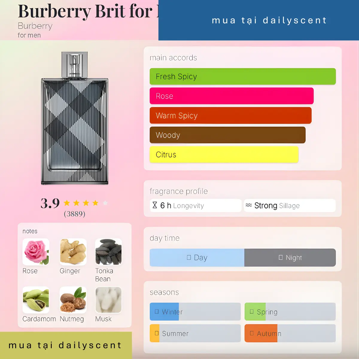 Burberry Brit for Men Burberry dailyscent