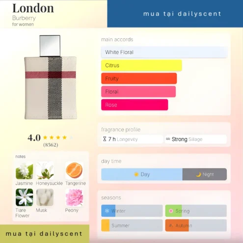 London Burberry dailyscent