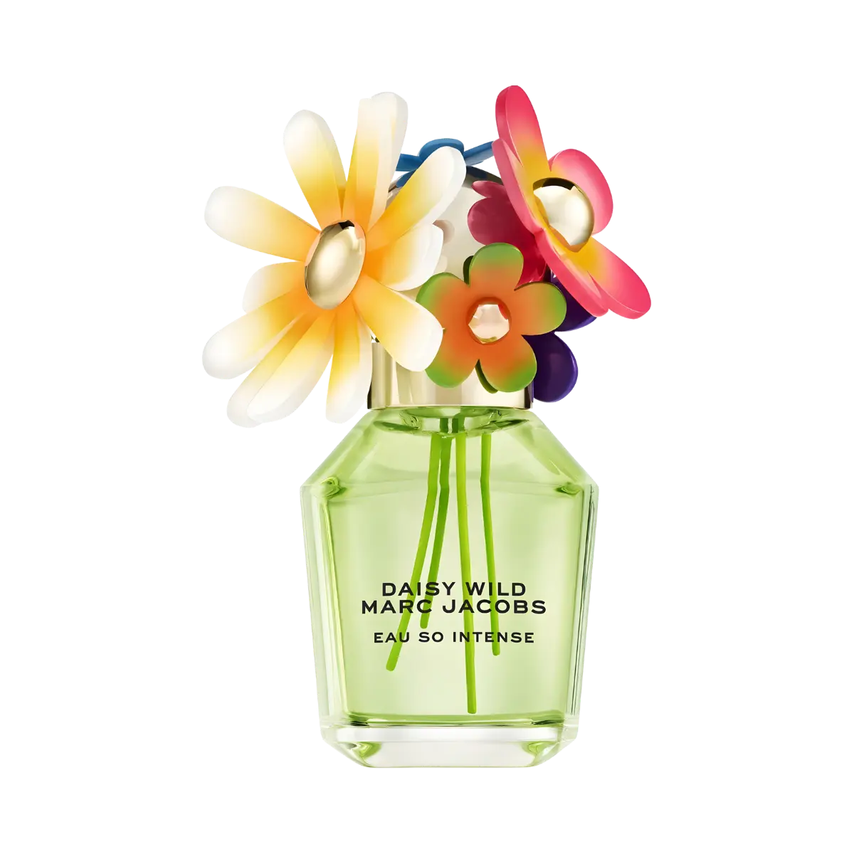 Daisy Wild Eau So Intense Marc Jacobs