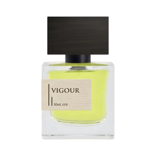 Vigour Criminal Elements