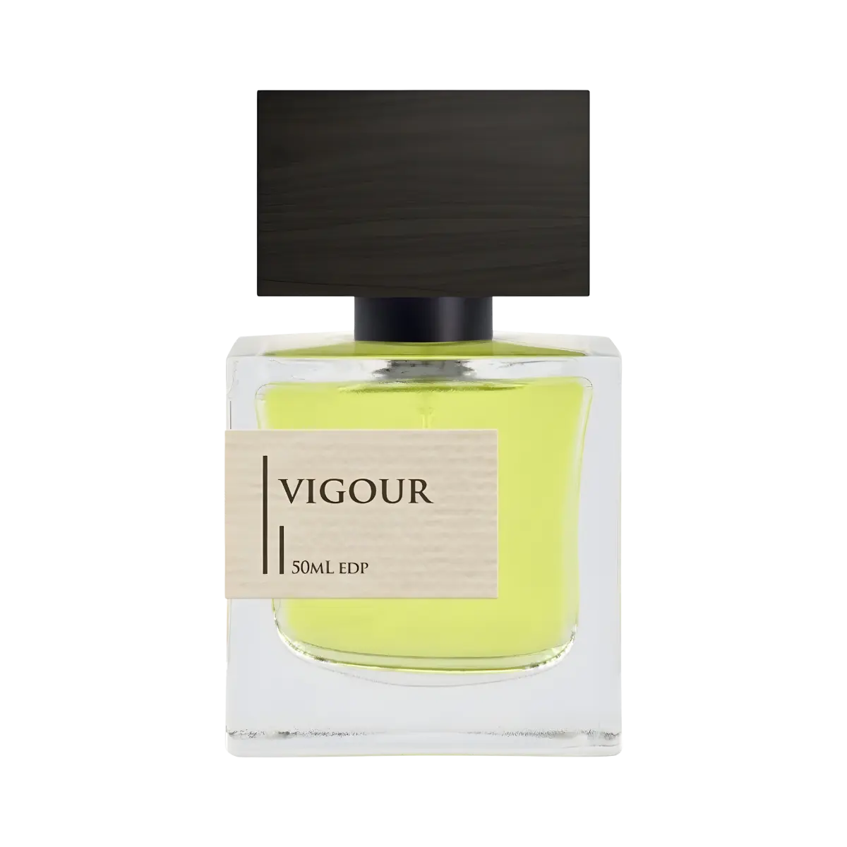 Vigour Criminal Elements