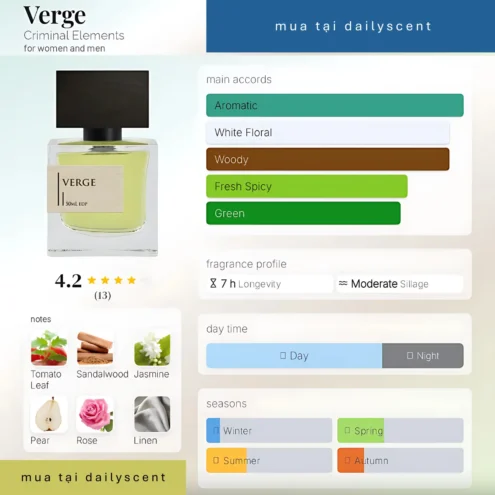Verge Criminal Elements