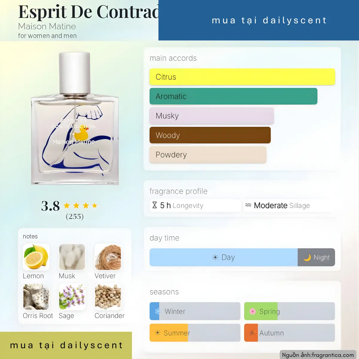 Esprit De Contradiction Maison Matine