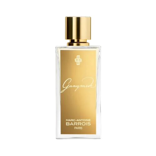 Ganymede Marc Antoine Barrois