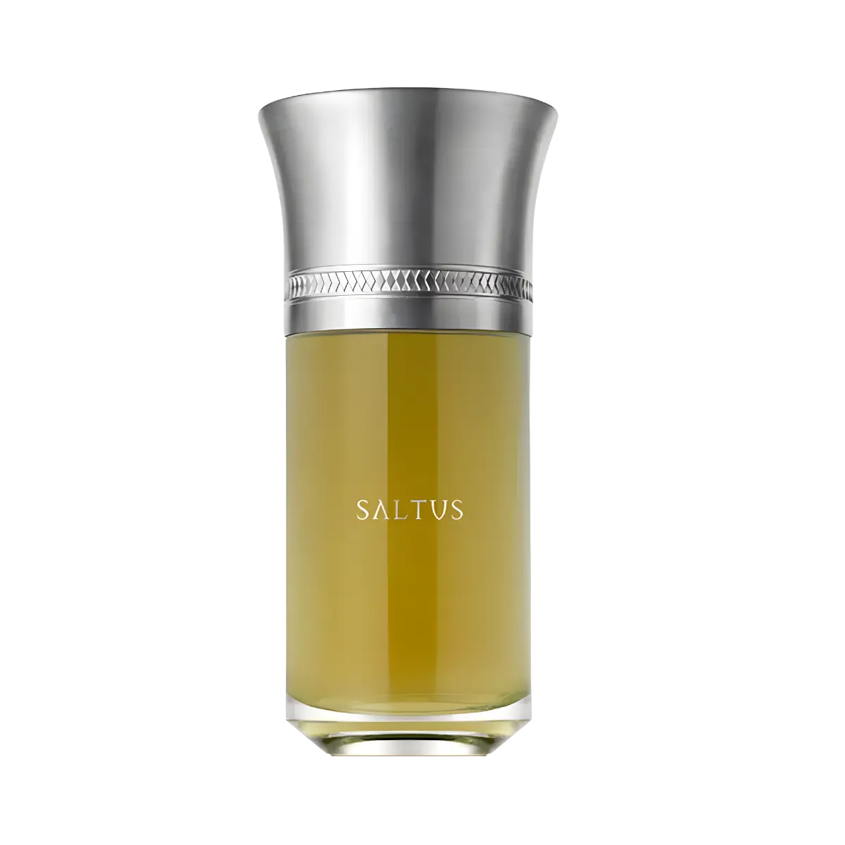 Saltus Les Liquides Imaginaires