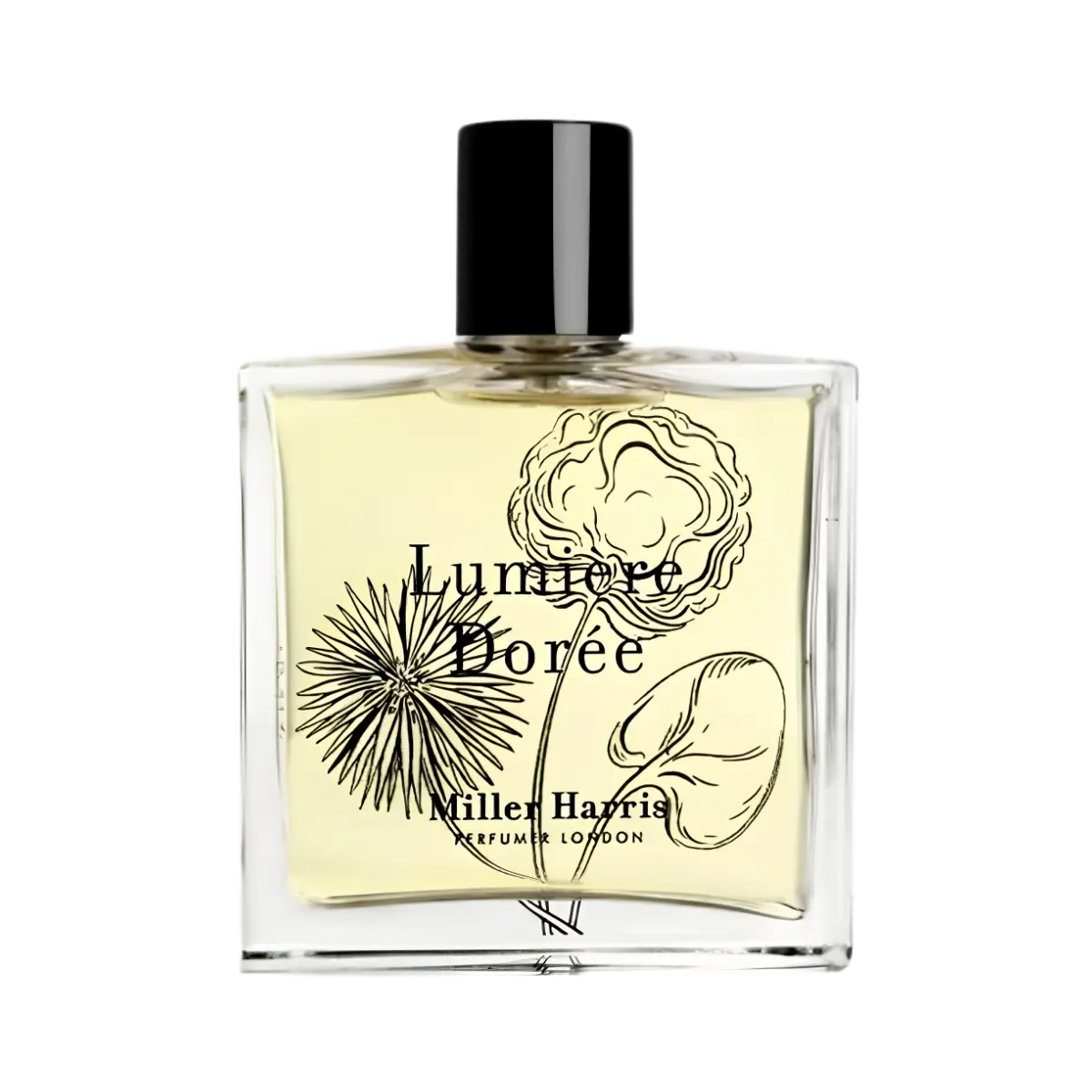Nước hoa Lumière Dorée Miller Harris
