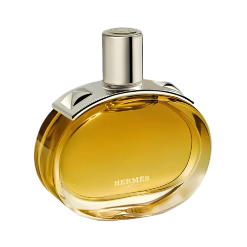 Barénia Intense Hermès