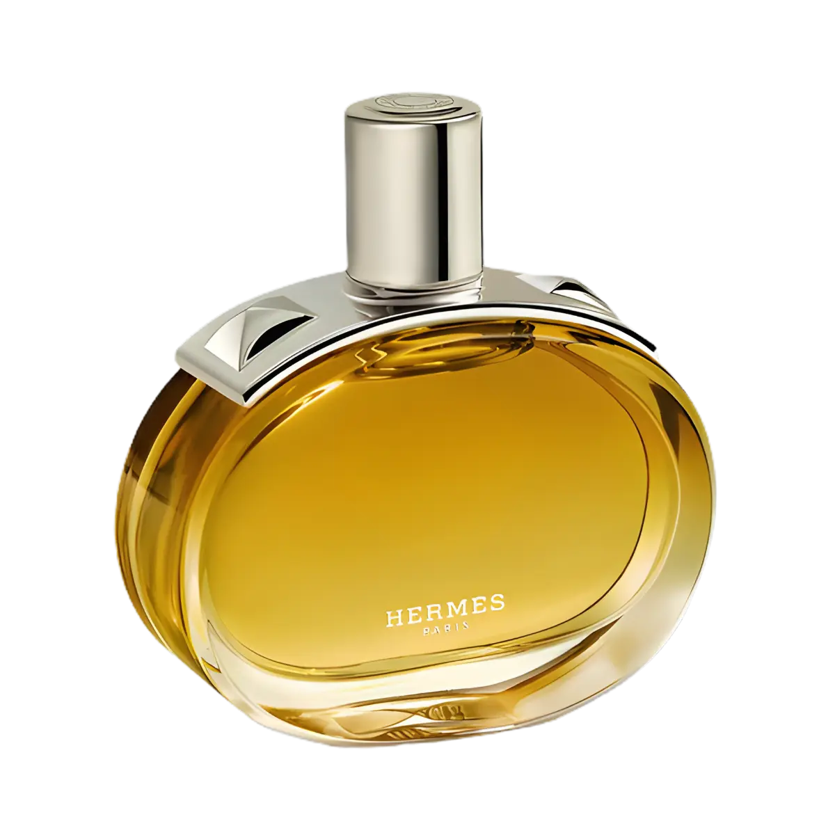 Barénia Intense Hermès