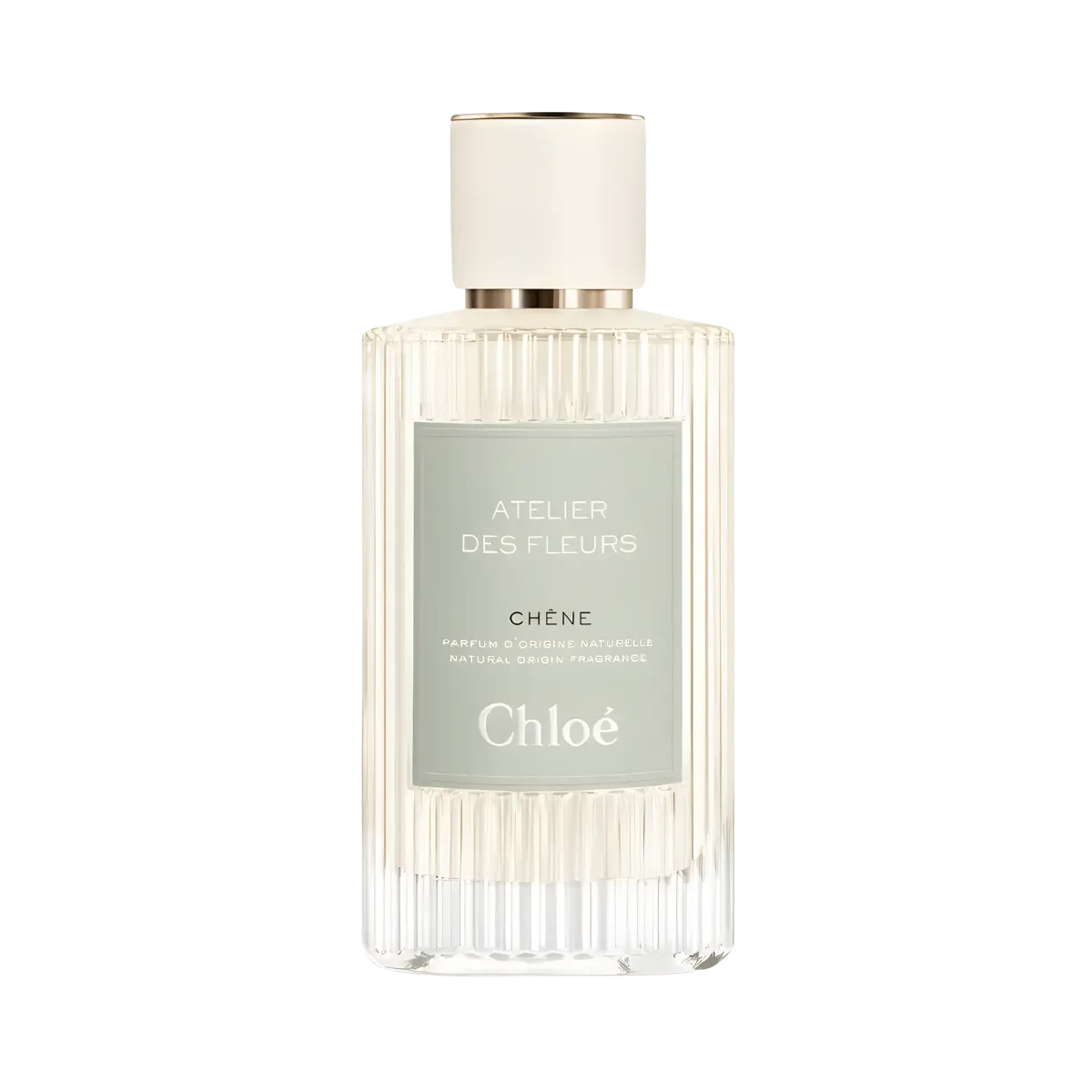 Chêne Chloé