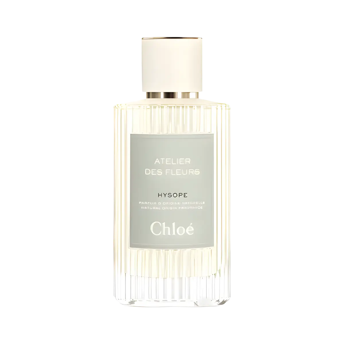 Hysope Chloé dailyscent