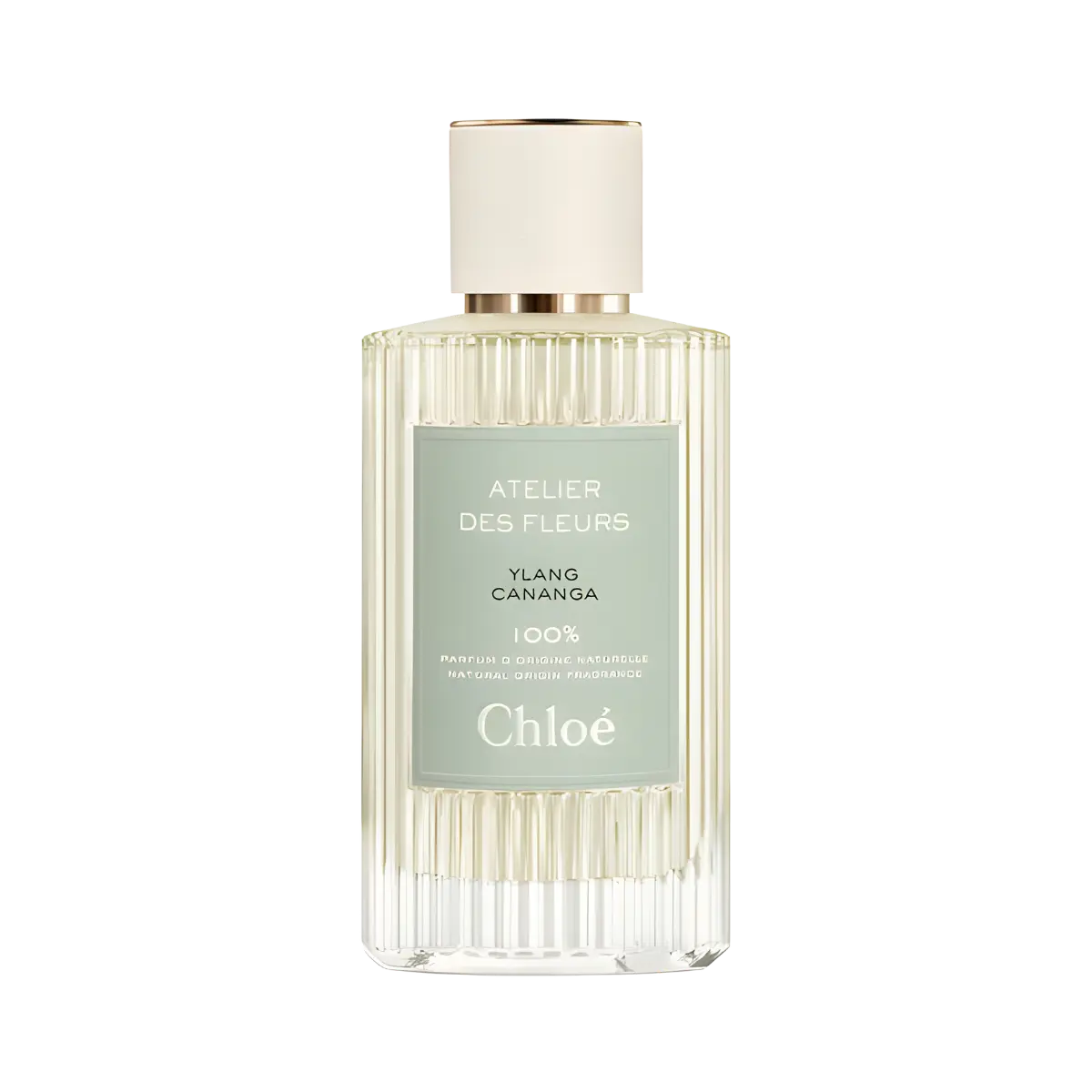 Ylang Cananga Chloé dailyscent