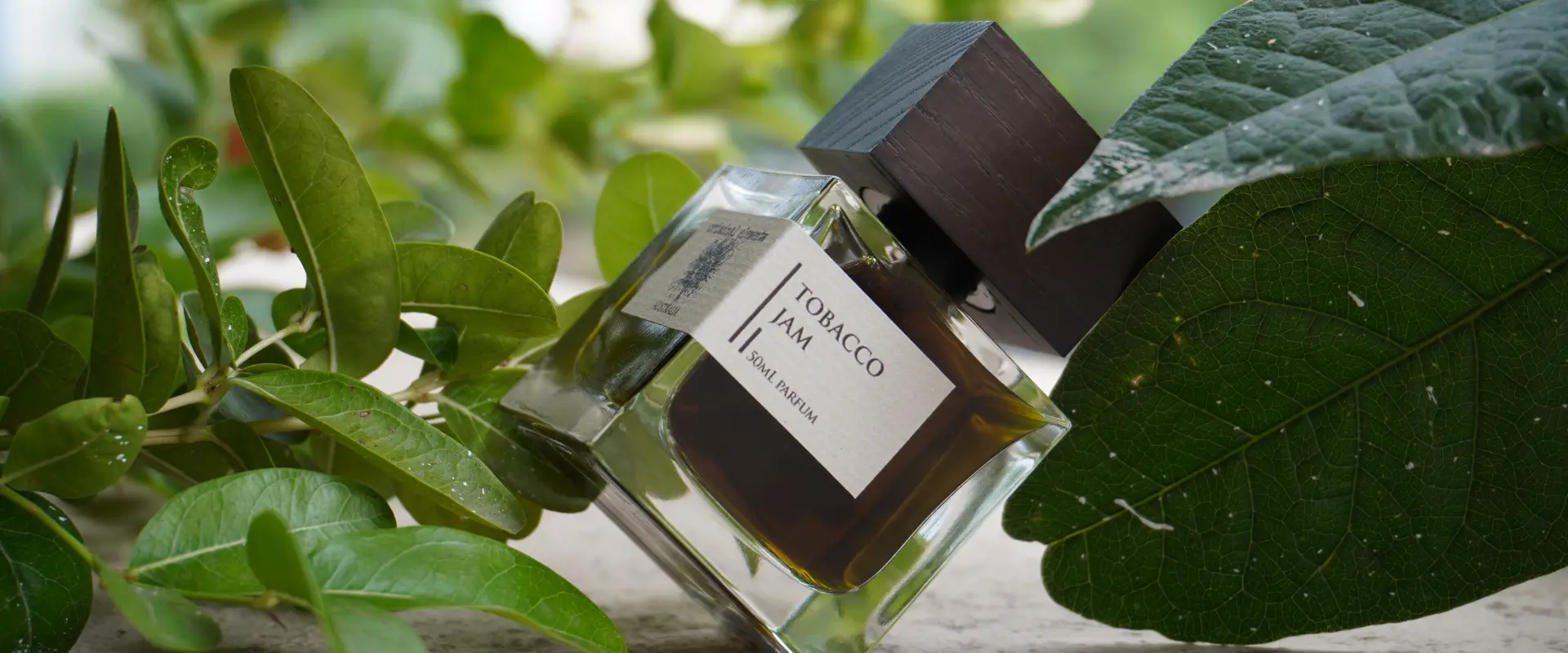 Banner trang thuog hieu