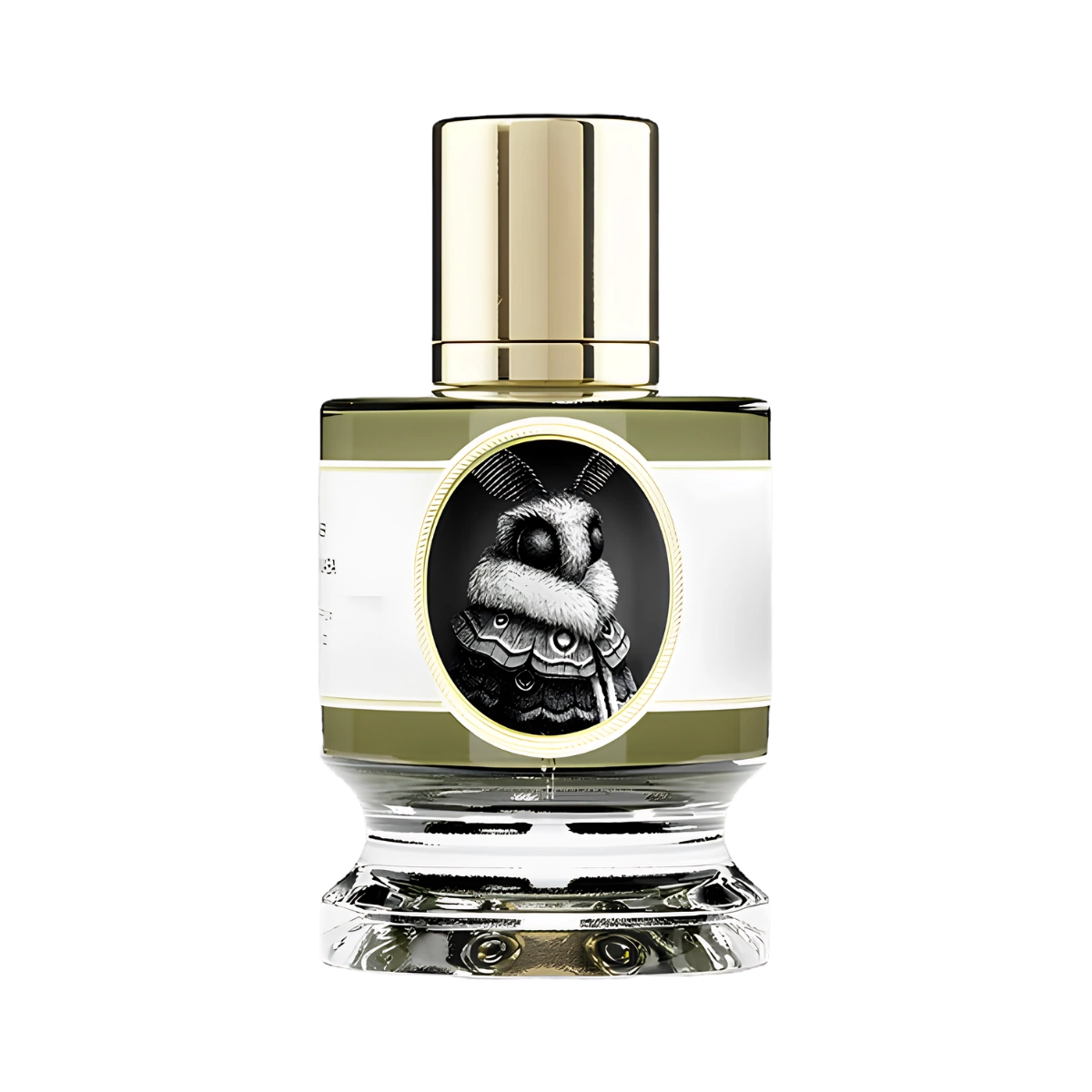 Moth Zoologist Perfumes Nước hoa Moth Zoologist