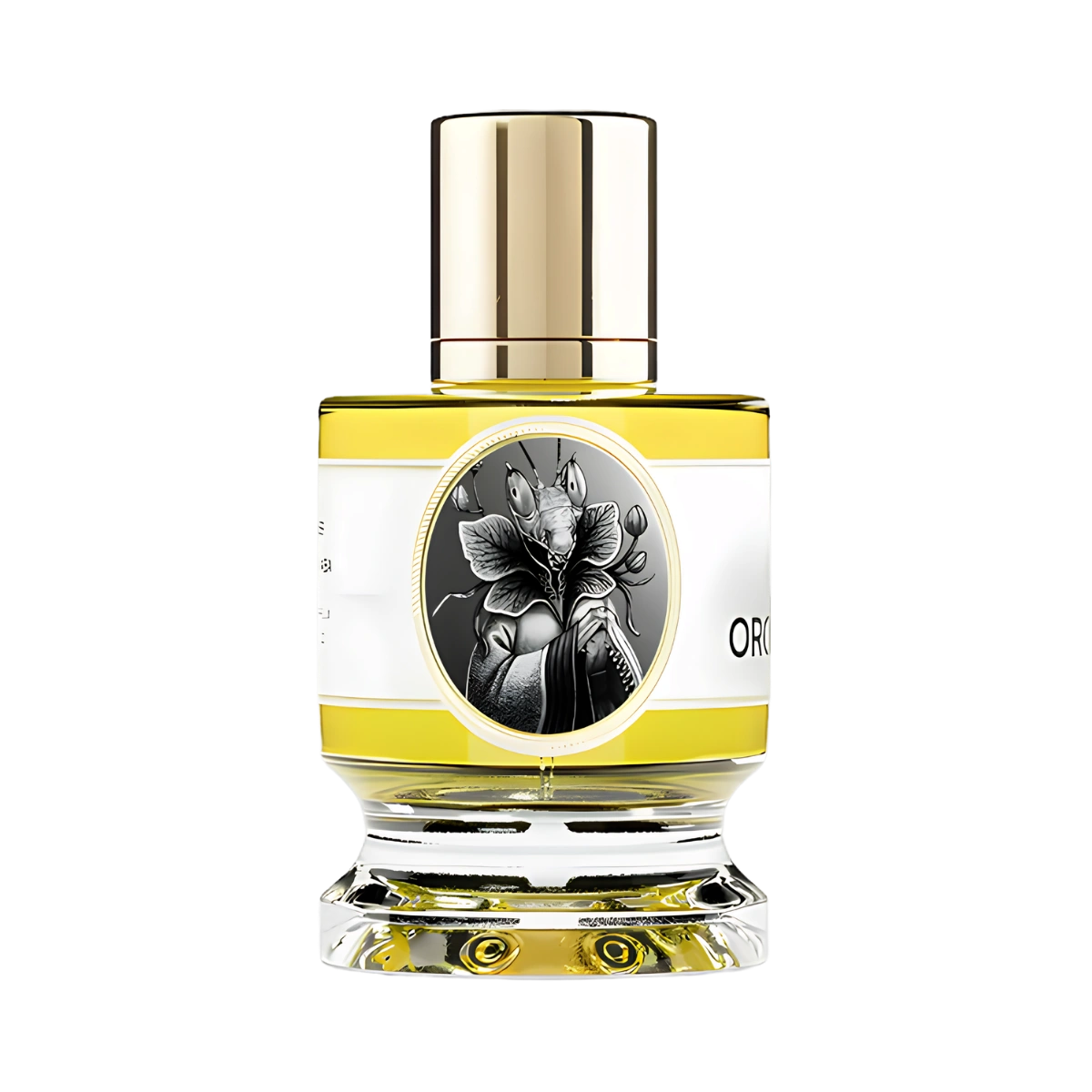 Orchid Mantis Zoologist Perfumes