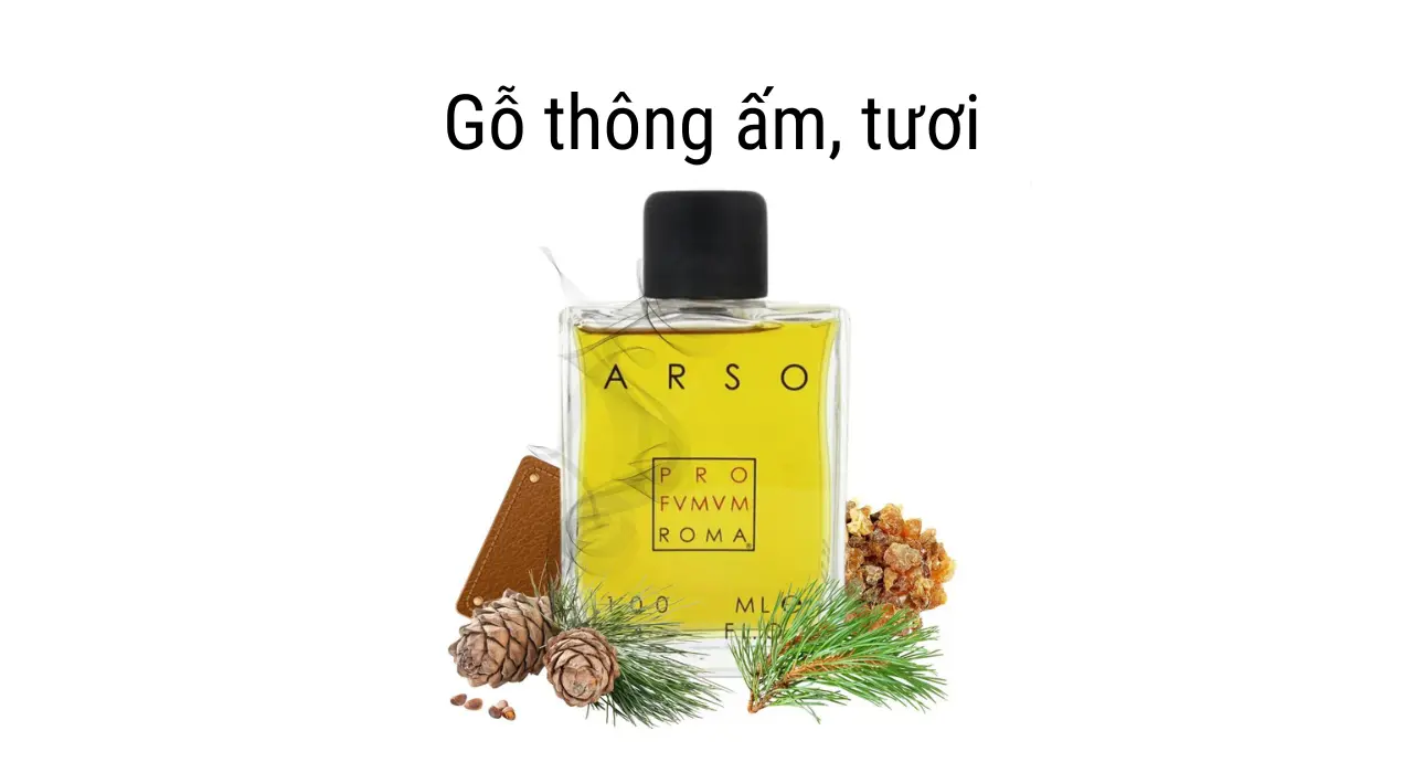 Review Arso Profumum Roma