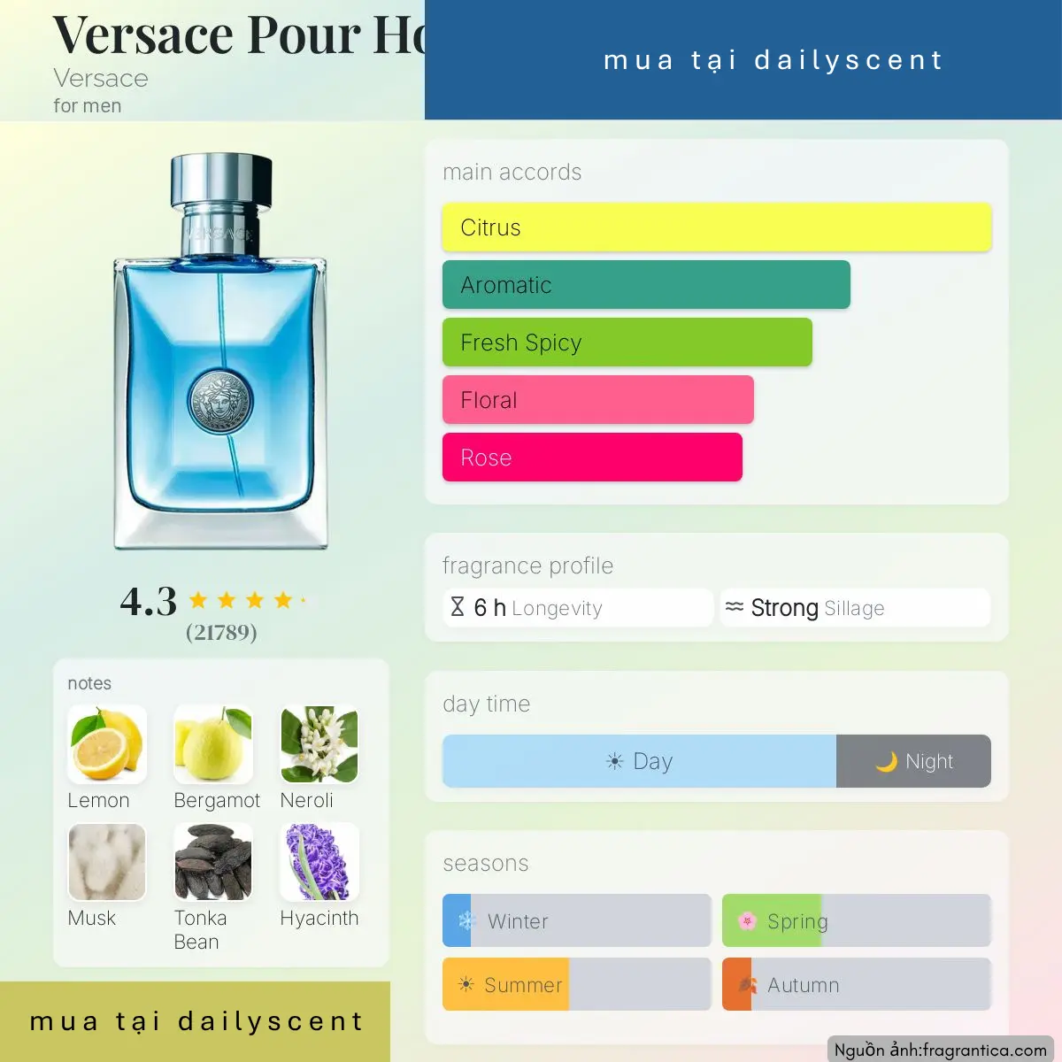 Nước hoa Versace Pour Homme