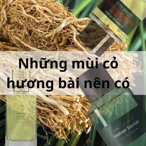 Nước hoa mùi Vetiver