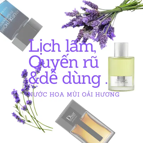 Nước hoa mùi oải hương