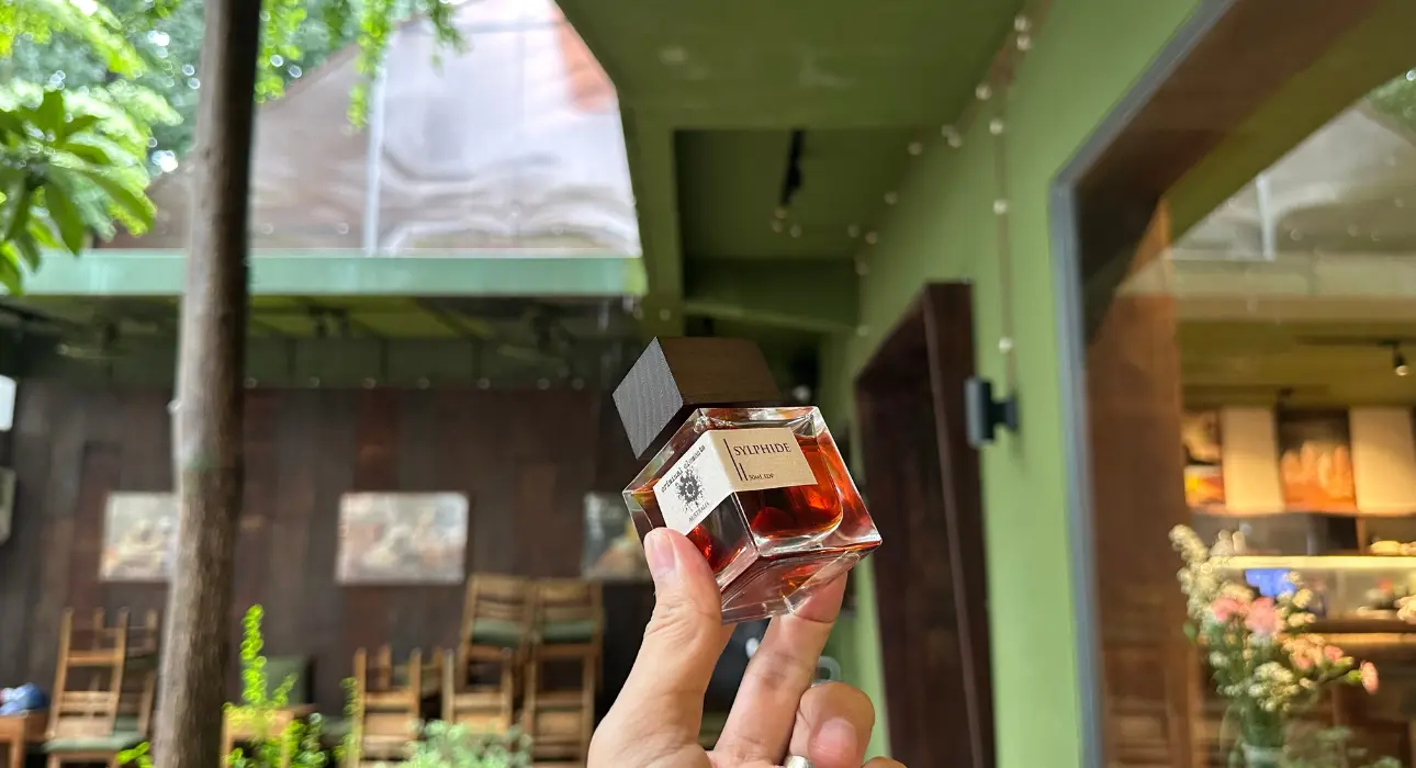 Review Sylphide Criminal Elements