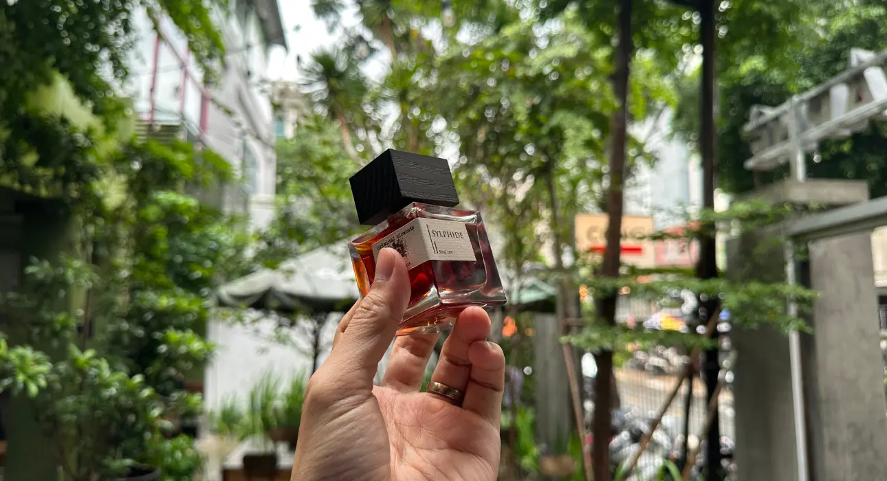 Review Sylphide Criminal Elements