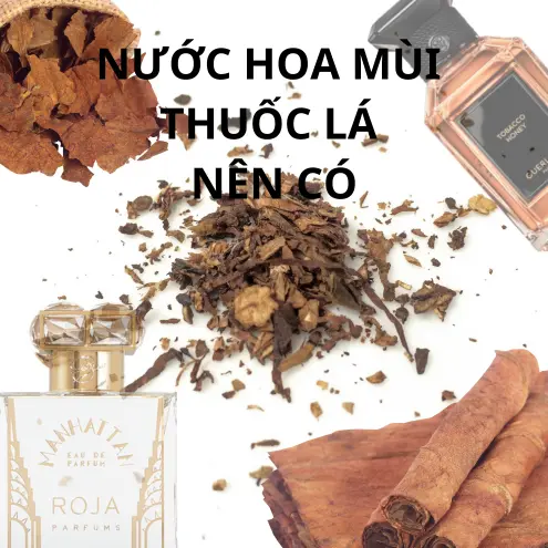 Nước hoa mùi thuốc lá nên có