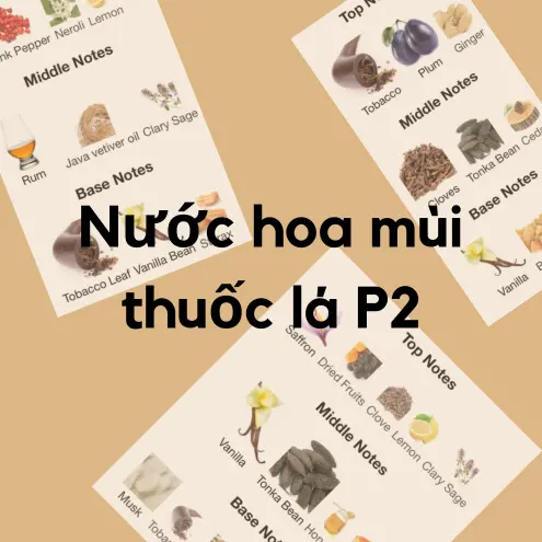 Nước hoa mùi thuốc lá P2