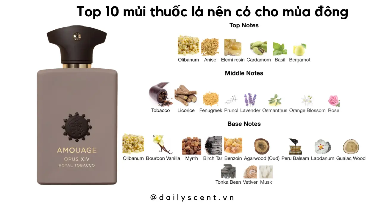 Review Royal Tobacco