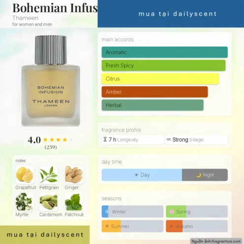 Bohemian Infusion