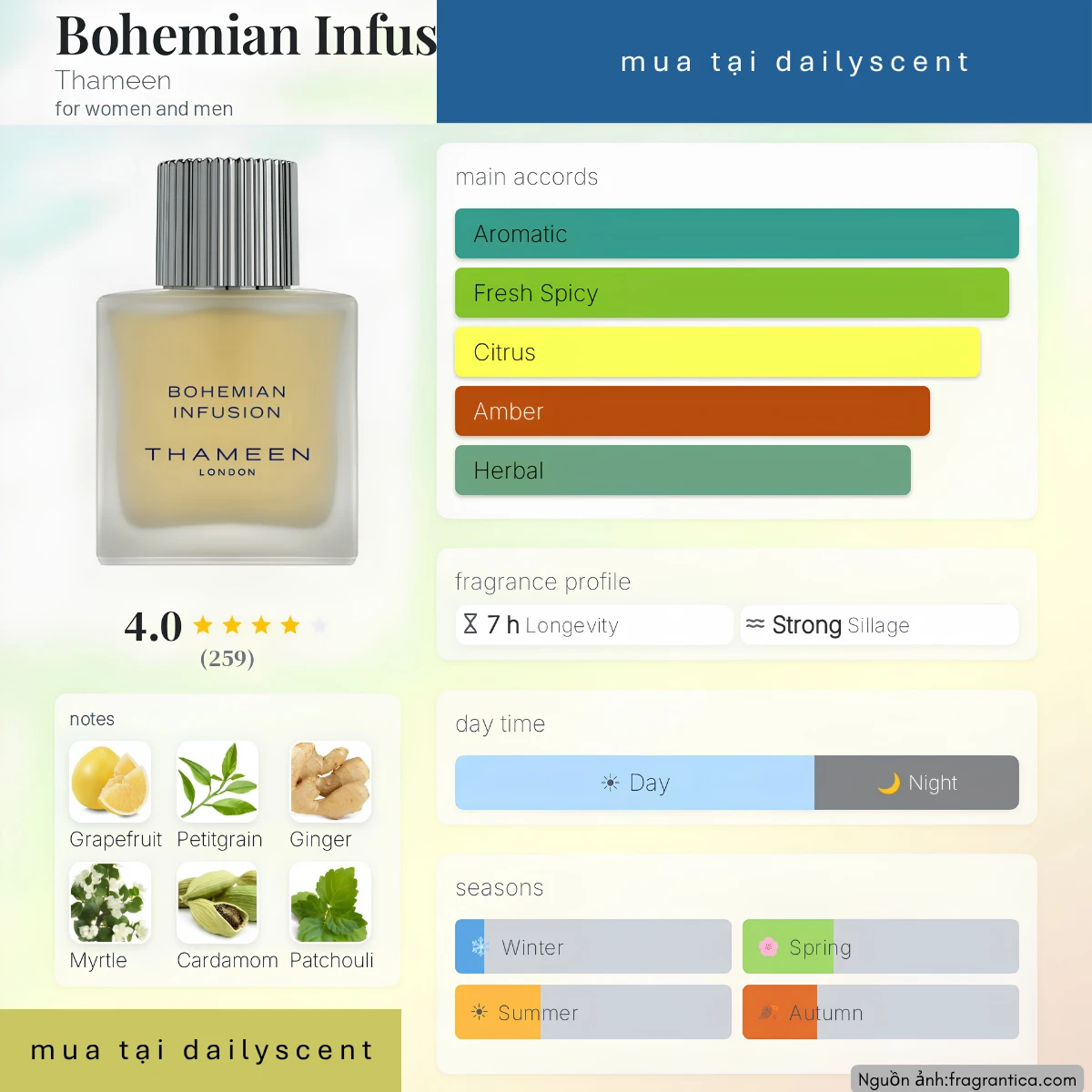 Bohemian Infusion