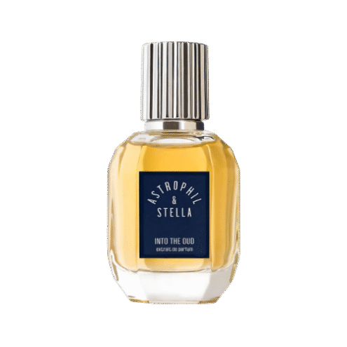 Into The Oud Astrophil & Stella
