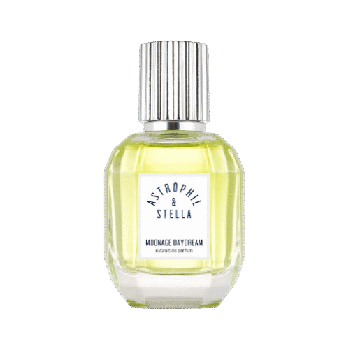 Moonage Daydream Astrophil & Stella Moonage Daydream Astrophil & Stella