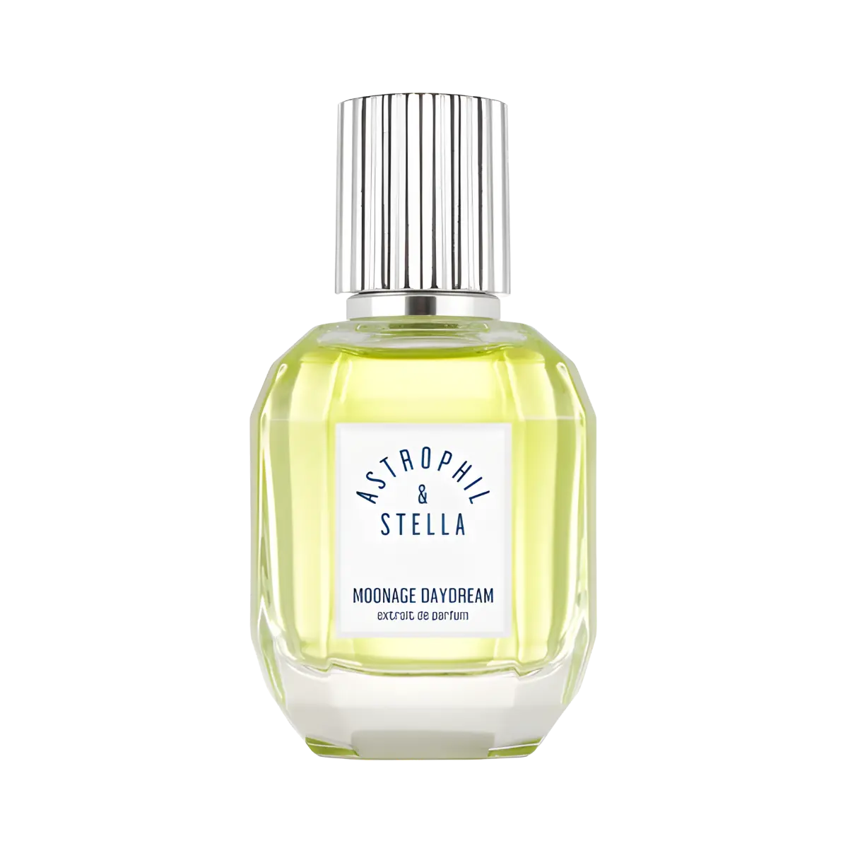 Moonage Daydream Astrophil & Stella dailyscent