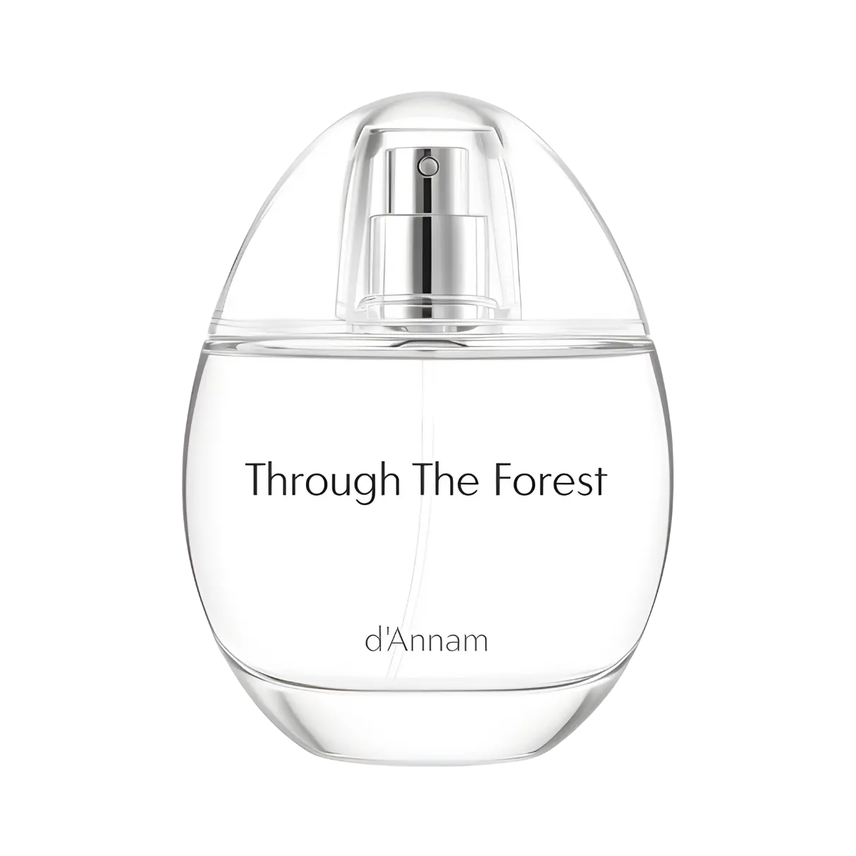 Through The Forest d'Annam