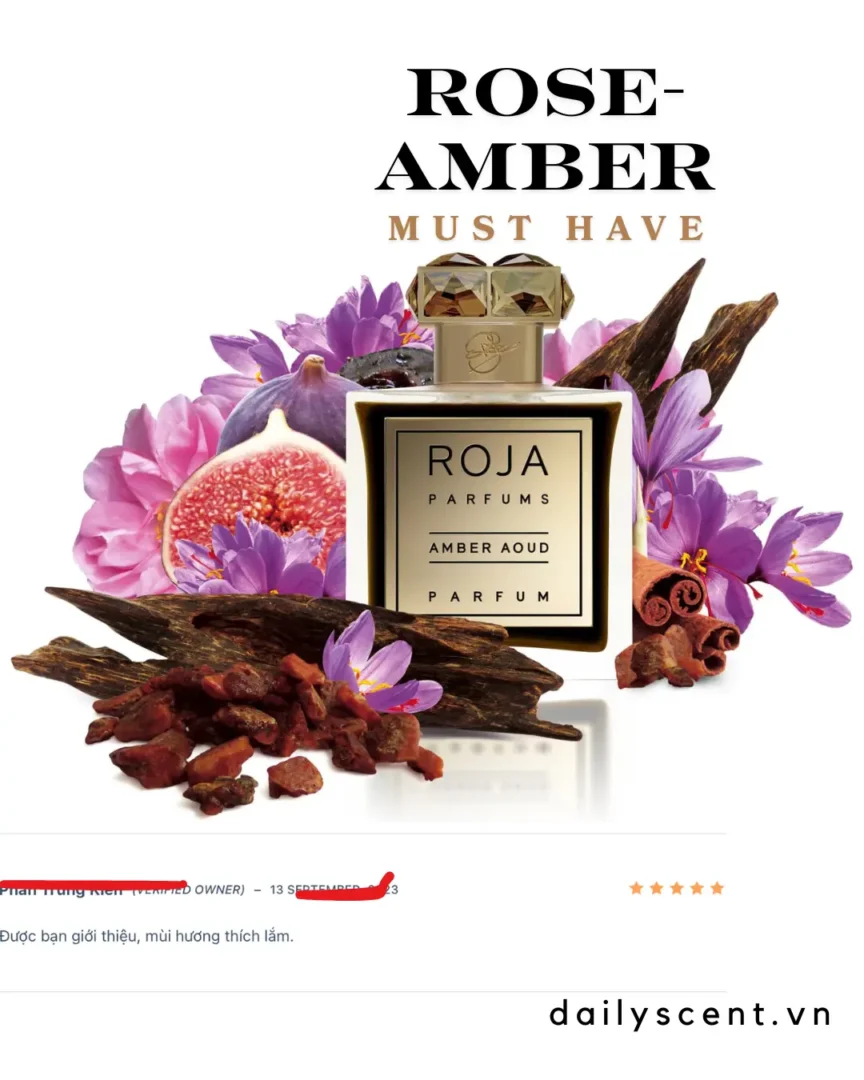 Nước hoa Có nên mua nước hoa Amber Aoud không?. dailyscent Nước hoa Amber Aoud