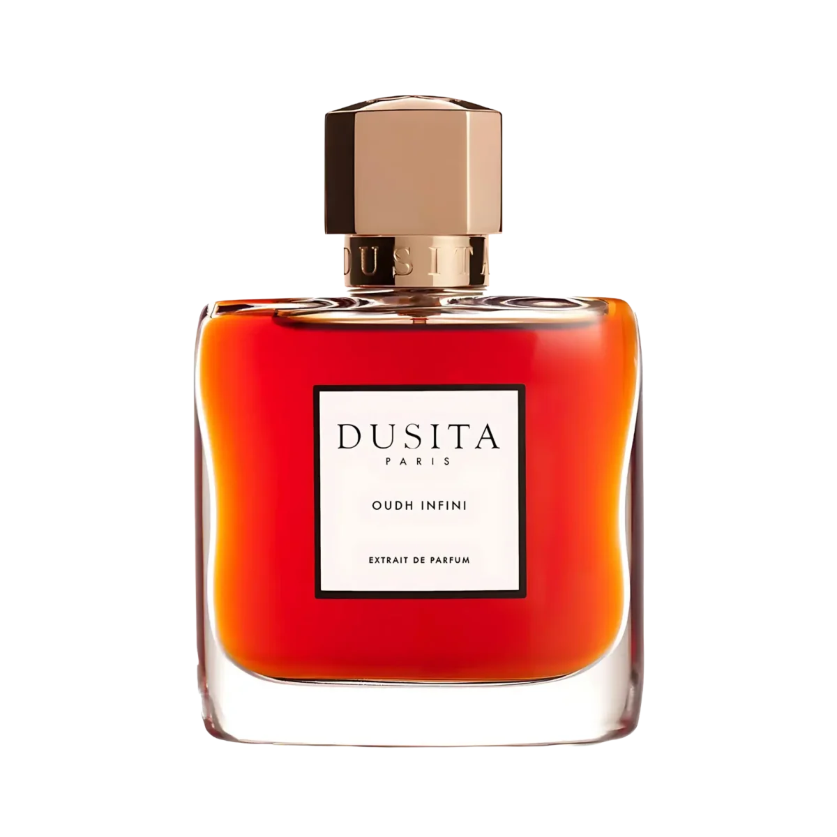 Oudh Infini Parfums Dusita