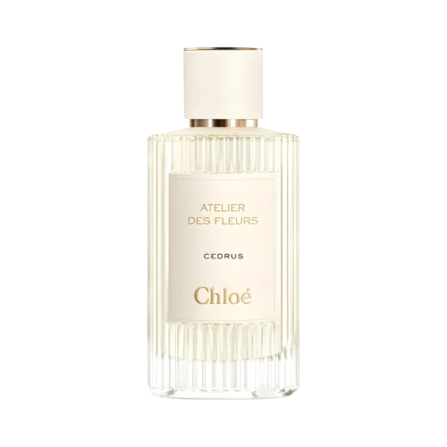 Cedrus Chloé