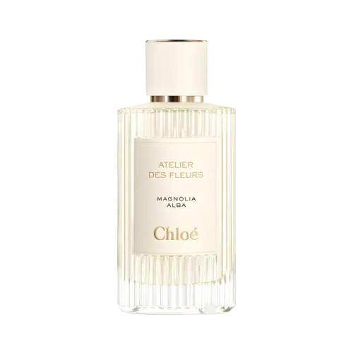 Magnolia Alba Chloé