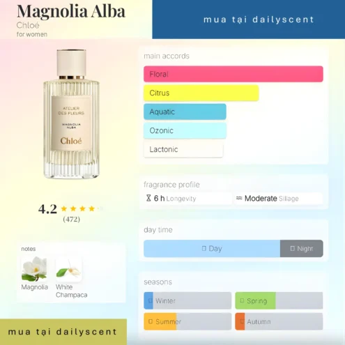 Magnolia Alba Chloé