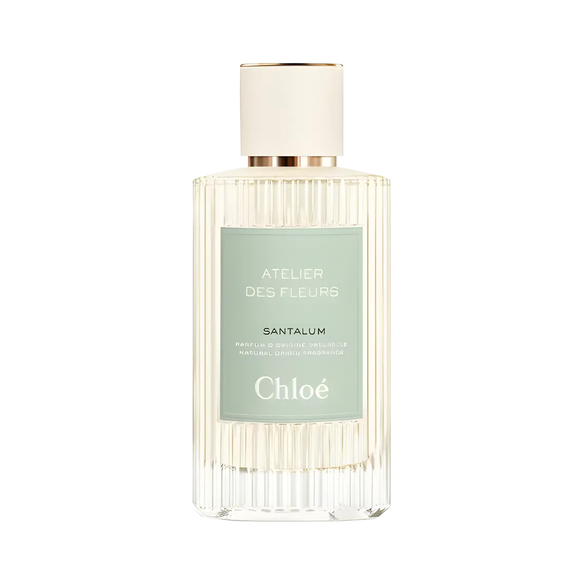 Santalum Chloé
