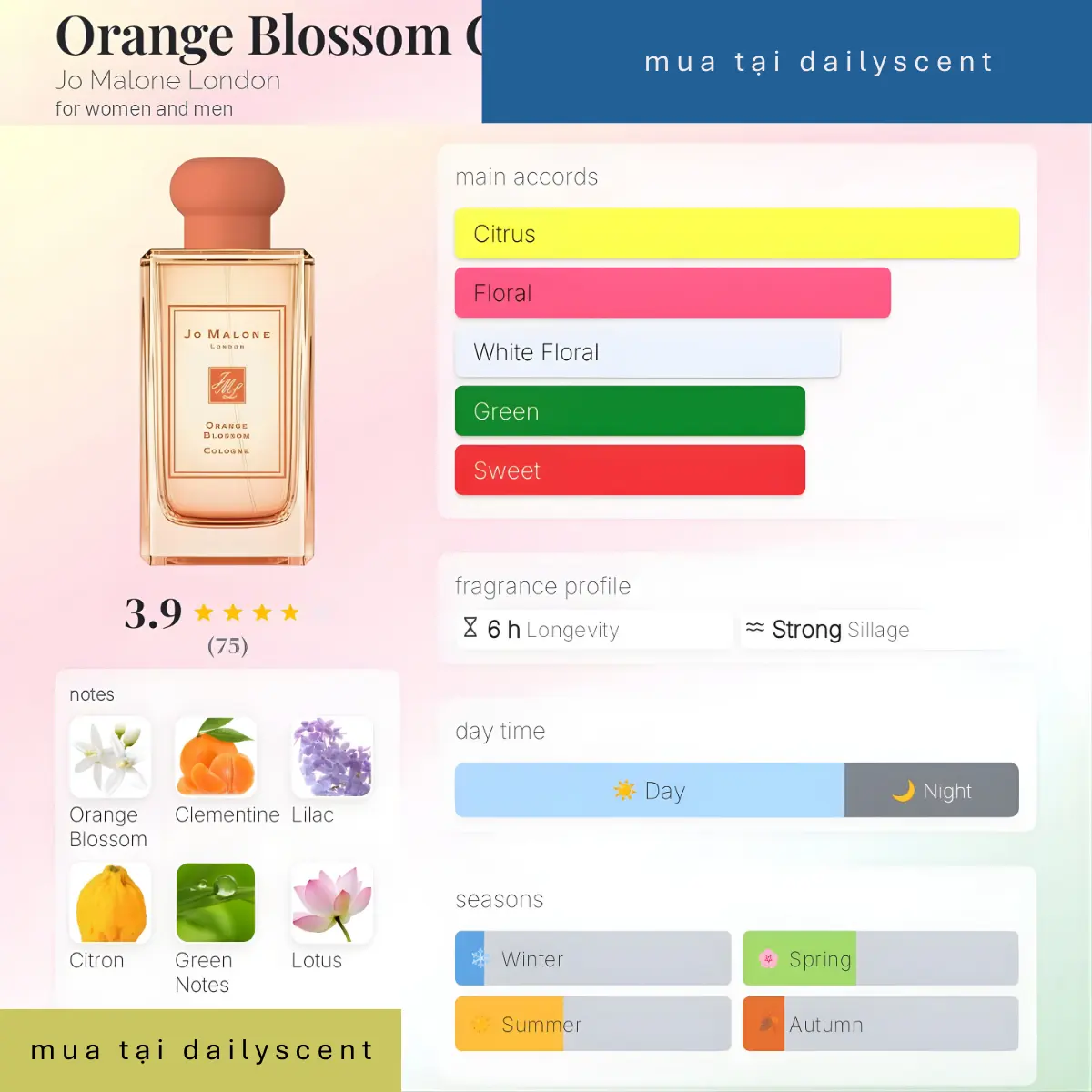 Orange Blossom Cologne dailyscent Orange Blossom Cologne