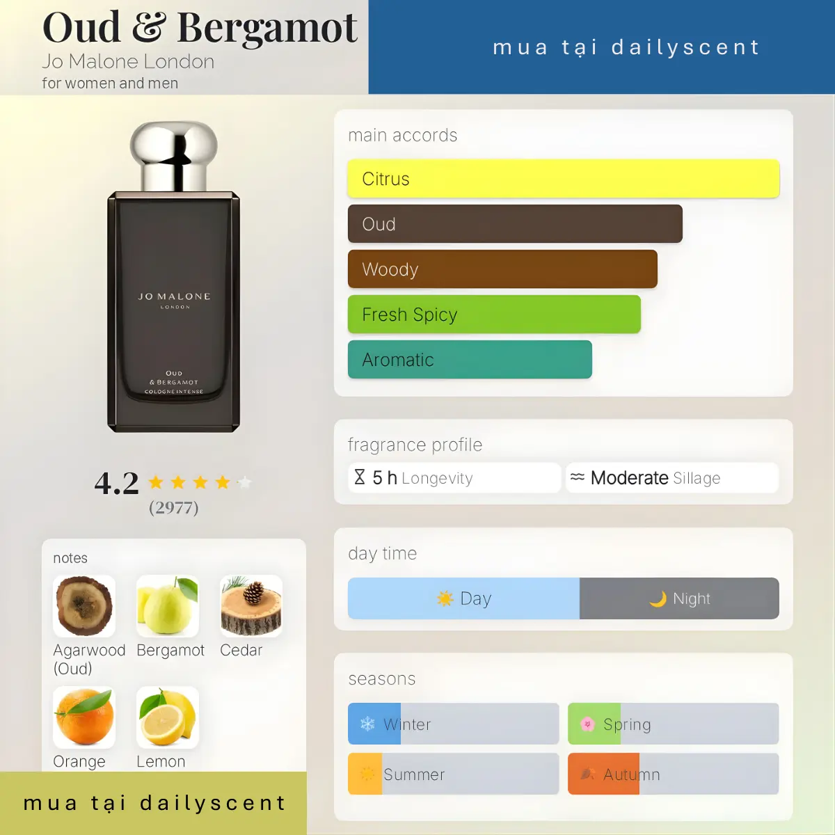 Oud Bergamot Cologne Intense