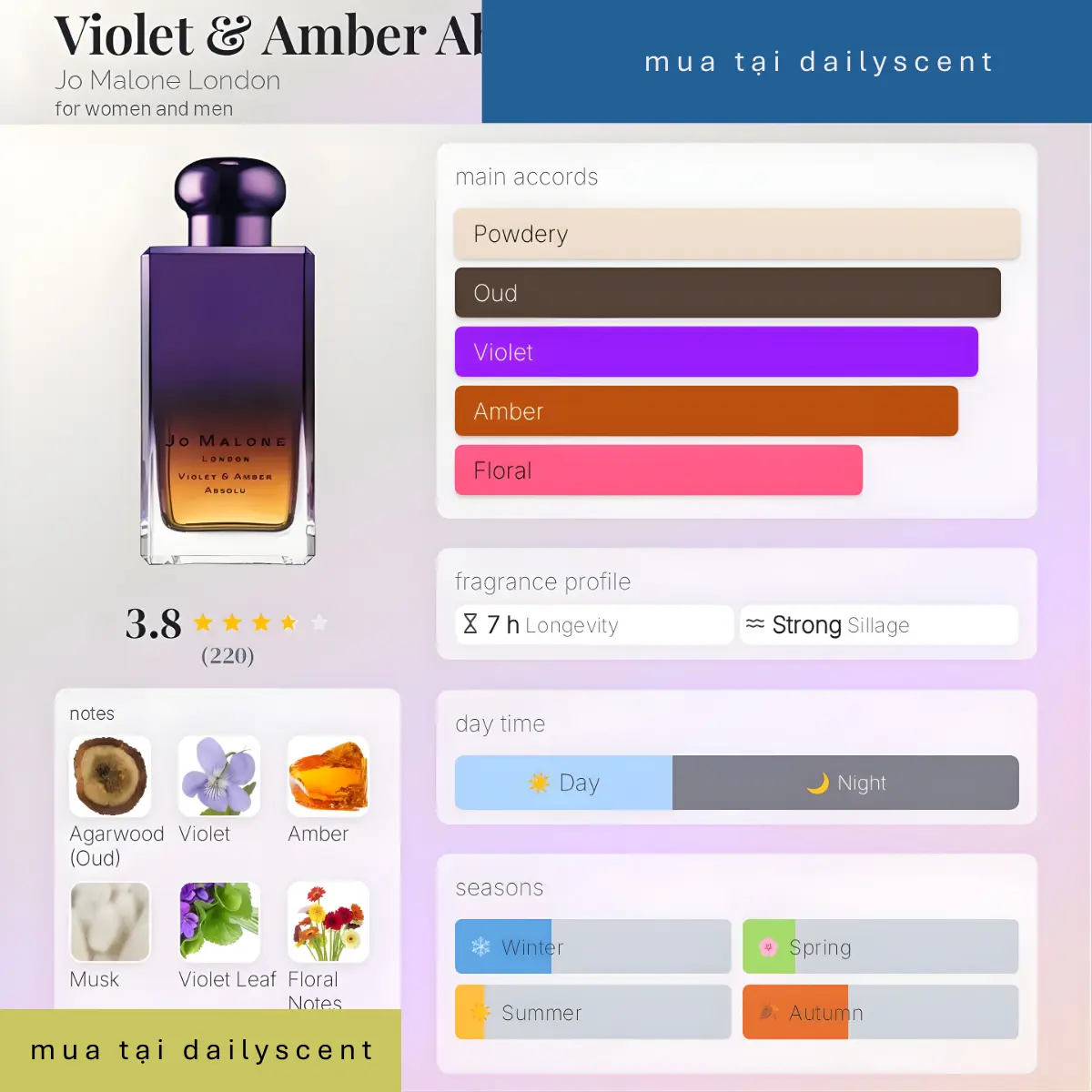 Violet Amber Absolu
