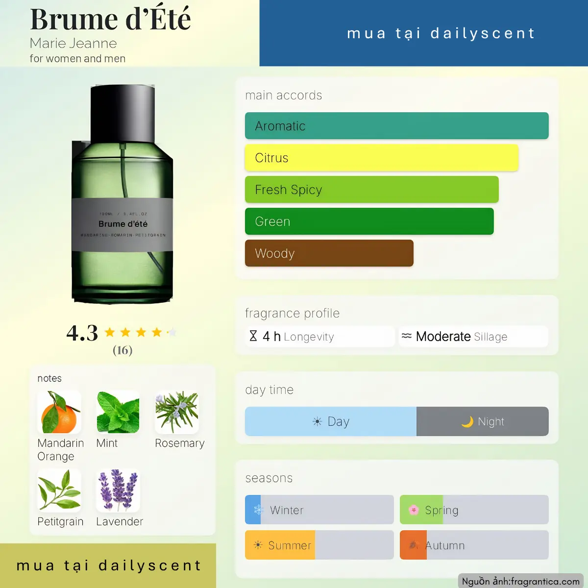 Brume d’Été Marie Jeanne