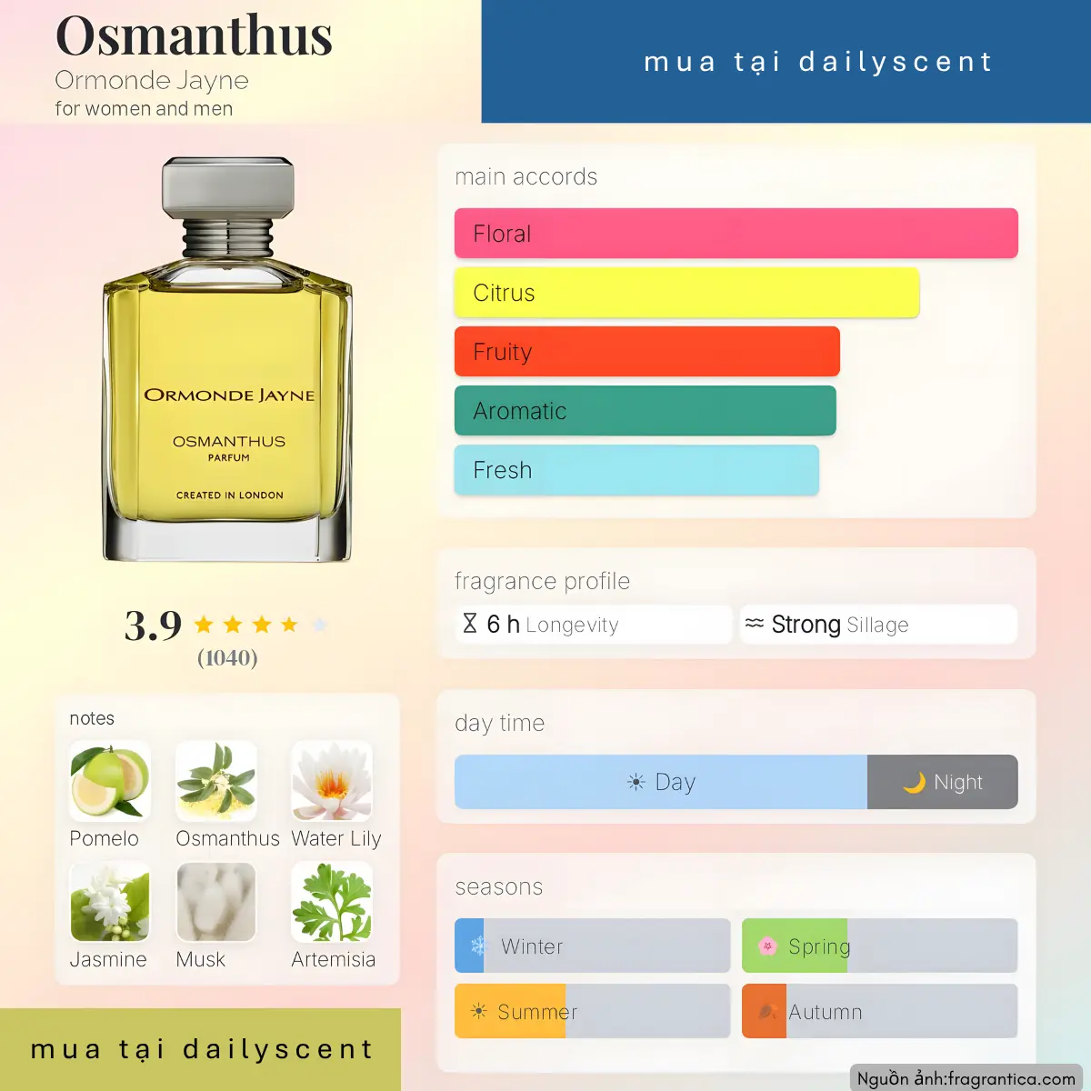 Osmanthus Ormonde Jayne