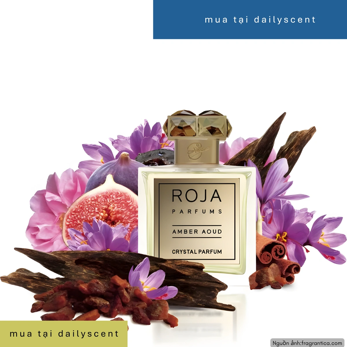 Nước hoa Amber Aoud Crystal Parfum Roja Dove