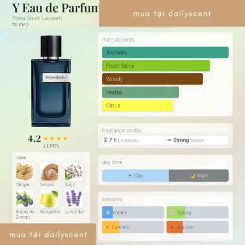 Nước hoa Y Eau de Parfum Intense